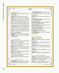Traité des usages & savoirs de sorcière