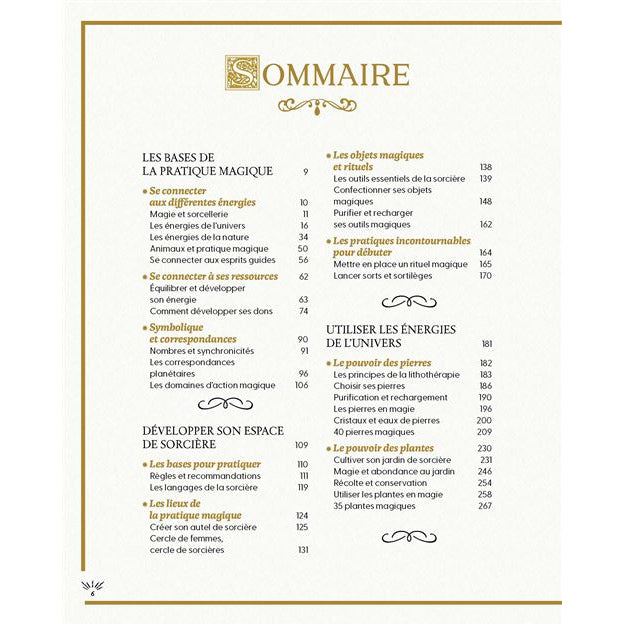 Traité des usages & savoirs de sorcière