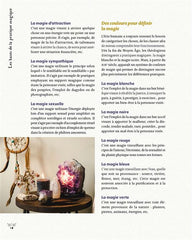 Traité des usages & savoirs de sorcière