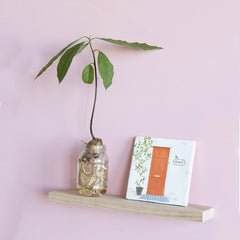 Carreau de céramique - Knock Knock who's there?